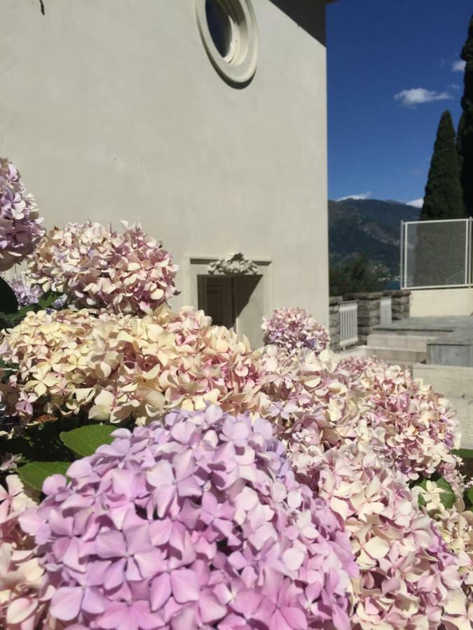 ديرفيو Maison Blanche المظهر الخارجي الصورة